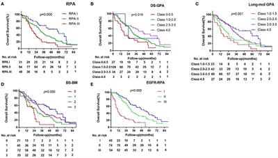New prognostic system specific for epidermal growth factor receptor-mutated lung cancer brain metastasis